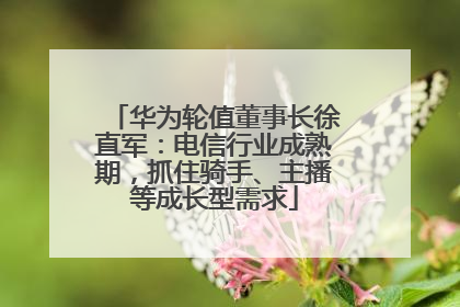 华为轮值董事长徐直军：电信行业成熟期，抓住骑手、主播等成长型需求