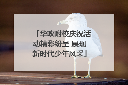 华政附校庆祝活动精彩纷呈 展现新时代少年风采