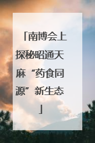 南博会上探秘昭通天麻“药食同源”新生态