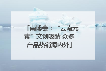 南博会：“云南元素”文创吸睛 众多产品热销海内外