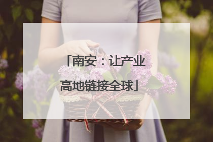 南安：让产业高地链接全球
