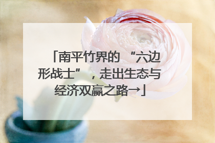 南平竹界的 “六边形战士”，走出生态与经济双赢之路→
