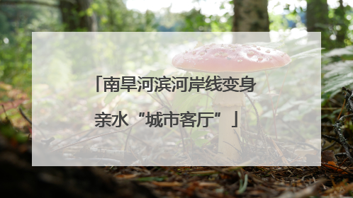 南旱河滨河岸线变身亲水“城市客厅”