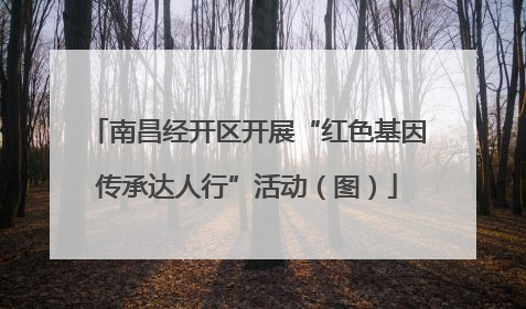 南昌经开区开展“红色基因传承达人行”活动（图）
