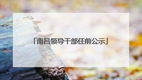 南昌领导干部任前公示