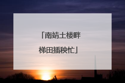 南靖土楼畔 梯田插秧忙
