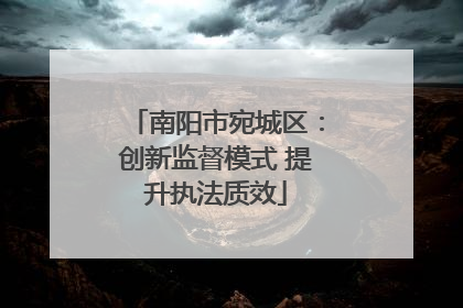 南阳市宛城区：创新监督模式 提升执法质效