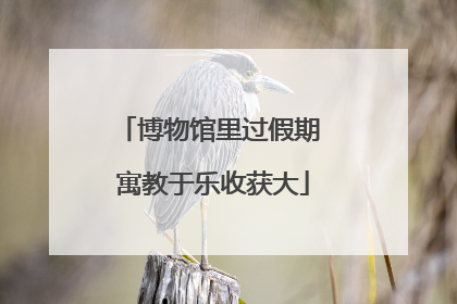 博物馆里过假期 寓教于乐收获大