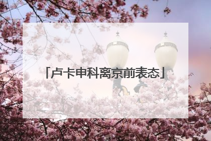 卢卡申科离京前表态
