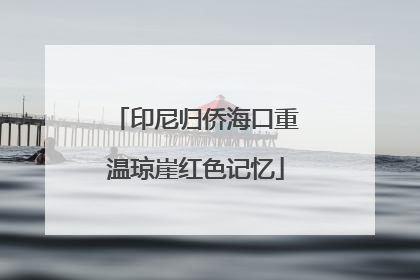 印尼归侨海口重温琼崖红色记忆