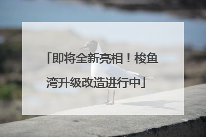 即将全新亮相！梭鱼湾升级改造进行中
