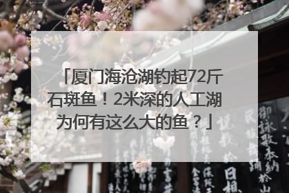 厦门海沧湖钓起72斤石斑鱼！2米深的人工湖为何有这么大的鱼？