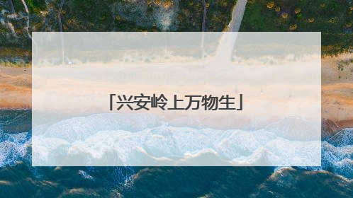 兴安岭上万物生