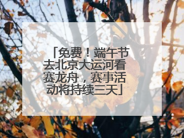 免费！端午节去北京大运河看赛龙舟，赛事活动将持续三天