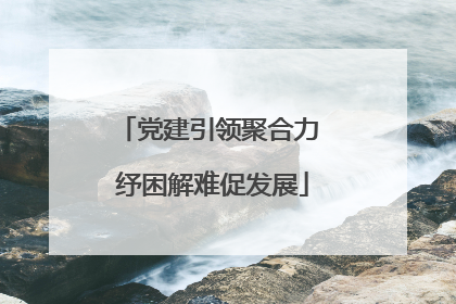 党建引领聚合力 纾困解难促发展