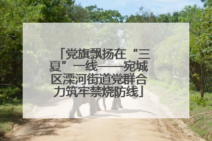 党旗飘扬在“三夏”一线——宛城区溧河街道党群合力筑牢禁烧防线
