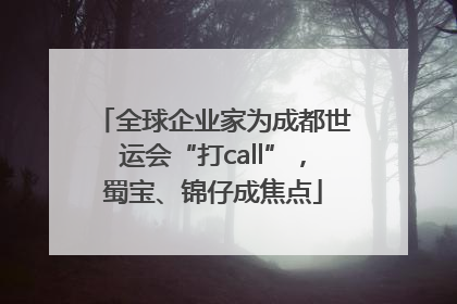 全球企业家为成都世运会“打call”，蜀宝、锦仔成焦点