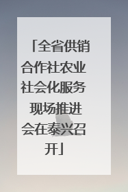 全省供销合作社农业社会化服务 现场推进会在泰兴召开