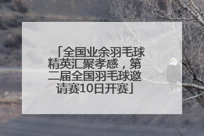 全国业余羽毛球精英汇聚孝感，第二届全国羽毛球邀请赛10日开赛