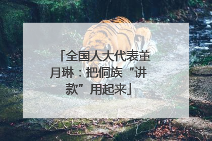 全国人大代表董月琳：把侗族“讲款”用起来