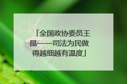全国政协委员王昆——司法为民做得越细越有温度