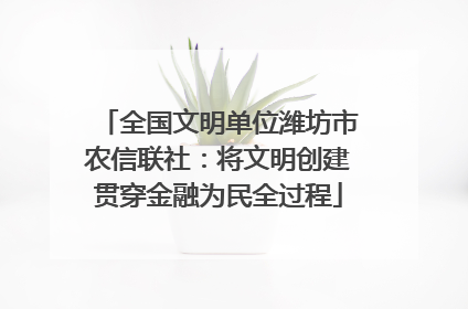 全国文明单位潍坊市农信联社：将文明创建贯穿金融为民全过程