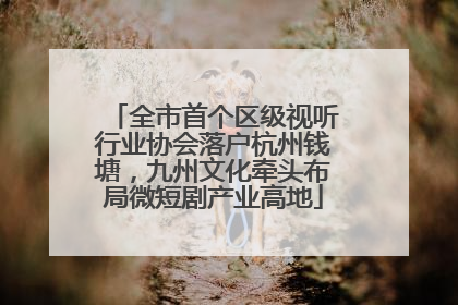 全市首个区级视听行业协会落户杭州钱塘，九州文化牵头布局微短剧产业高地