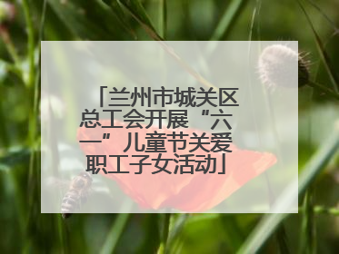 兰州市城关区总工会开展“六一”儿童节关爱职工子女活动