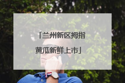 兰州新区拇指黄瓜新鲜上市
