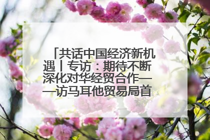 共话中国经济新机遇丨专访：期待不断深化对华经贸合作——访马耳他贸易局首席执行官布蒂吉格