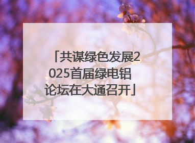 共谋绿色发展2025首届绿电铝论坛在大通召开