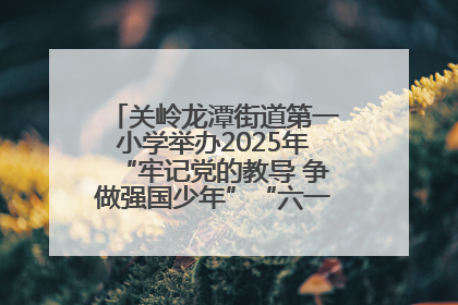 关岭龙潭街道第一小学举办2025年“牢记党的教导 争做强国少年”“六一”文艺汇演活动