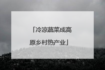 冷凉蔬菜成高原乡村热产业