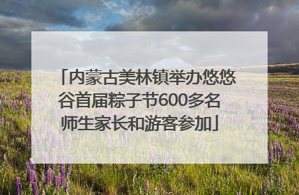 内蒙古美林镇举办悠悠谷首届粽子节600多名师生家长和游客参加