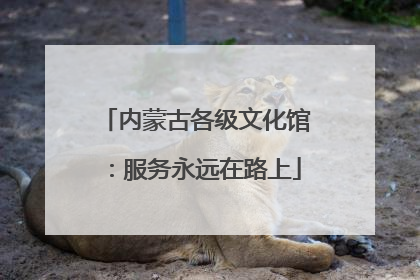内蒙古各级文化馆：服务永远在路上