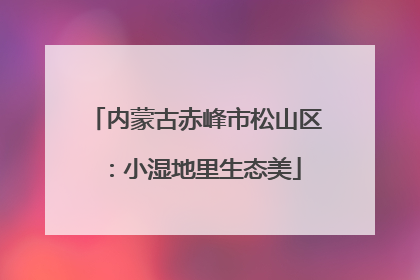 内蒙古赤峰市松山区：小湿地里生态美