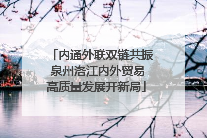 内通外联双链共振 泉州洛江内外贸易高质量发展开新局