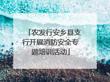 农发行安乡县支行开展消防安全专题培训活动