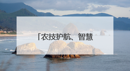 农技护航、智慧种田 “三夏”时节各地都在抢农时 忙耕种