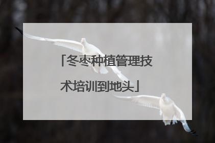 冬枣种植管理技术培训到地头