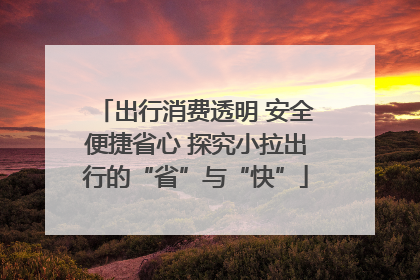 出行消费透明 安全便捷省心 探究小拉出行的“省”与“快”