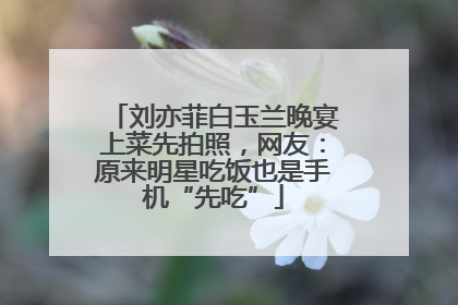 刘亦菲白玉兰晚宴上菜先拍照，网友：原来明星吃饭也是手机“先吃”