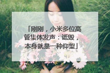刚刚，小米多位高管集体发声：诋毁，本身就是一种仰望