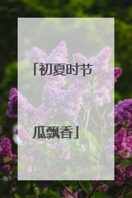 初夏时节瓜飘香