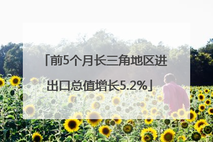 前5个月长三角地区进出口总值增长5.2%