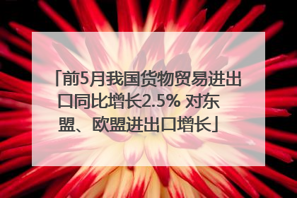 前5月我国货物贸易进出口同比增长2.5% 对东盟、欧盟进出口增长
