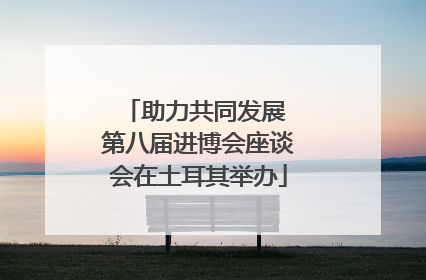 助力共同发展 第八届进博会座谈会在土耳其举办