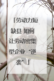 劳动力短缺县 如何让劳动密集型企业“逆袭”