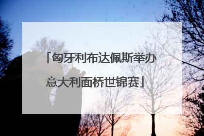 匈牙利布达佩斯举办意大利面桥世锦赛
