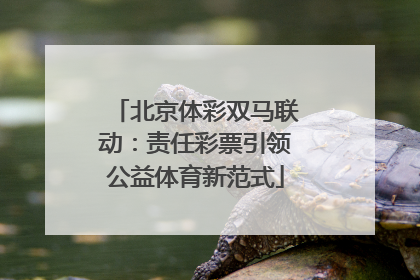 北京体彩双马联动：责任彩票引领公益体育新范式